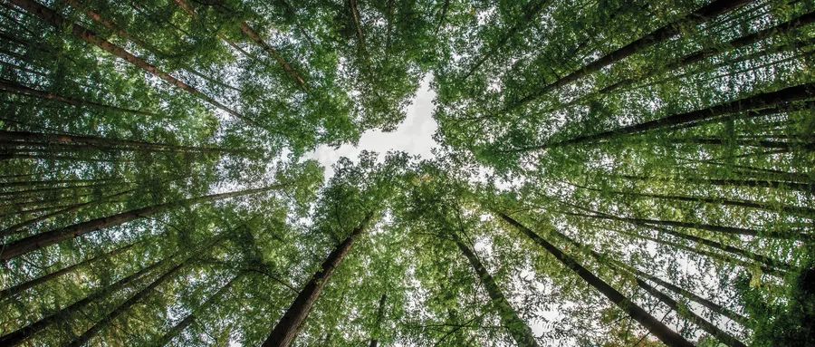 人生就是博·(中国) - 官方网站